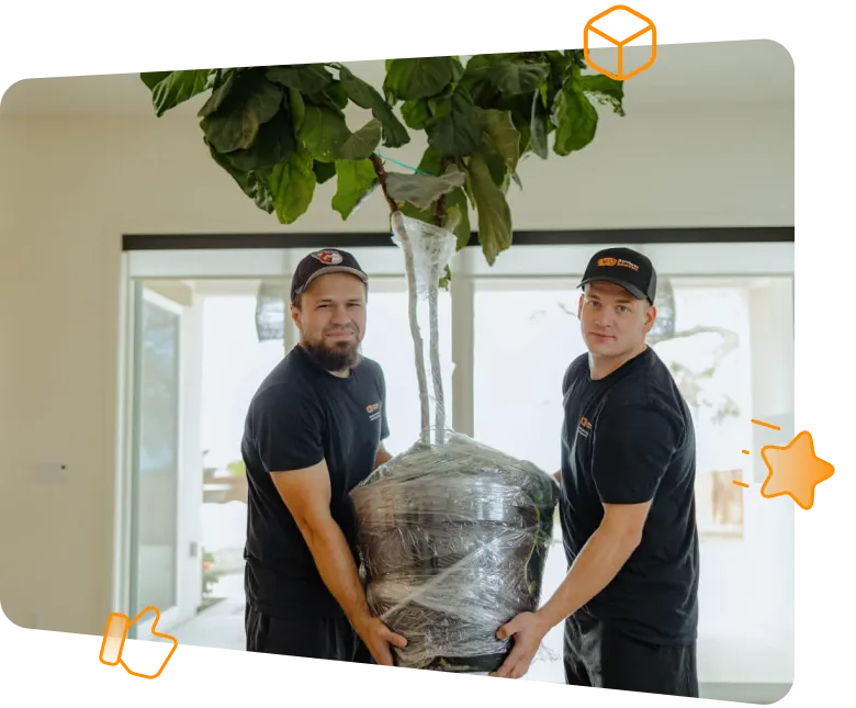 Service Pro Movers for expert apartment movers