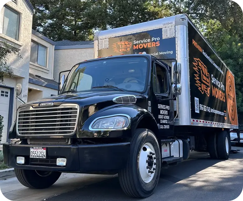 Movers carrying boxes