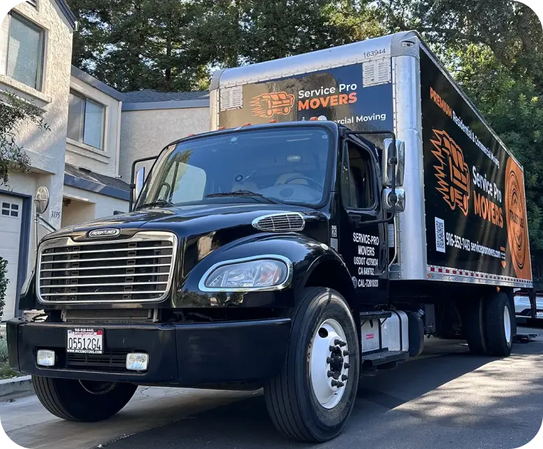 Movers carrying boxes