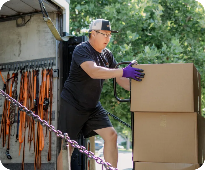 Movers carrying boxes